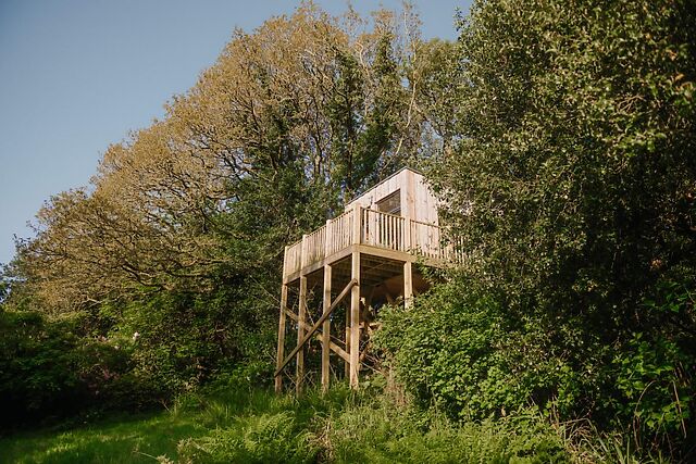 Lion Treehouse