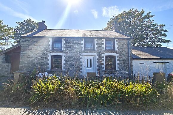 Llwyngwyn