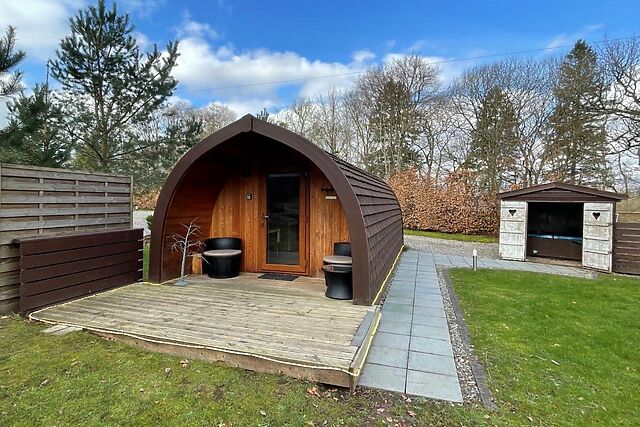 Wee Oak Tree
