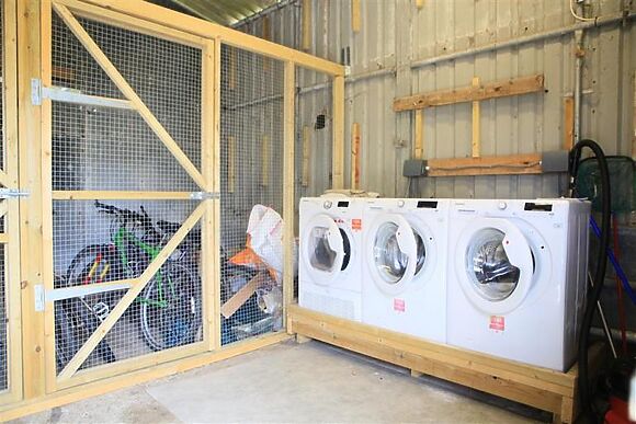 Little Owl, Oxley Dairy