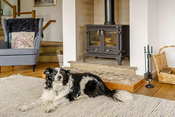 Barn Owl At Cobblestones