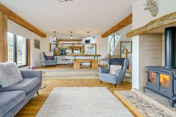 Barn Owl At Cobblestones