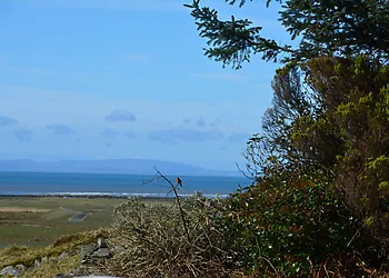 Nearby views 