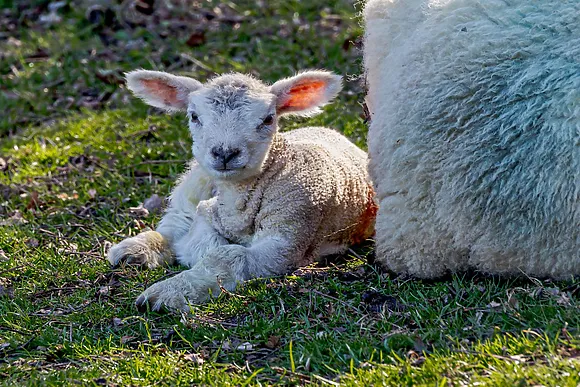 View Of The Valley Hut