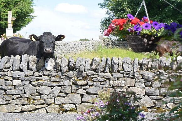 The Hayloft Taddington