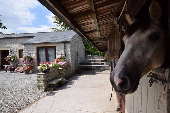 Eden Tree Cottage