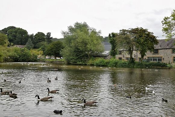 Waterside Mill