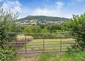 Golwg Y Mynydd Triley Court