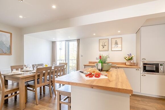 Cormorant Apartment Saundersfoot
