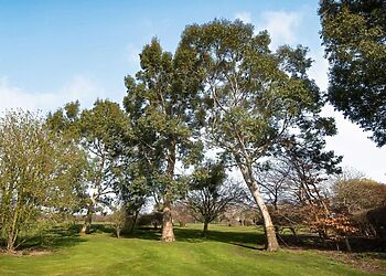 Pied Wagtail Cottage