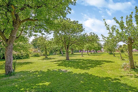 Orchard Farm Wedmore Camelot