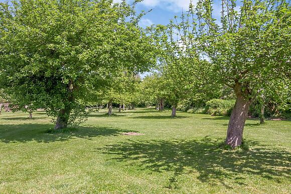 Orchard Farm Wedmore Camelot