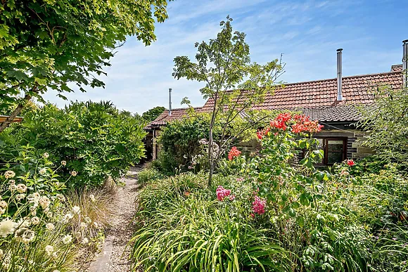 Orchard Farm Wedmore Fox Whelp