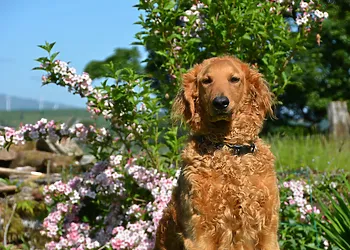 Time with your loved ones!