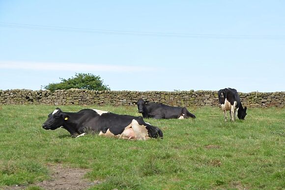 Rolling Mill Cottage