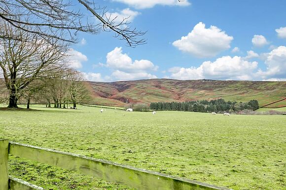 Moorfield Garden Retreat
