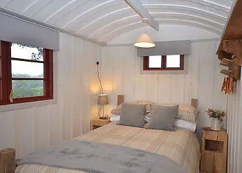 Cosy and snug, like a bug in a rug