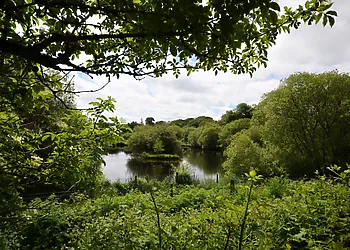 Stunning views of the lake from the patio area