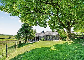 The Barn At Nant Llwyd