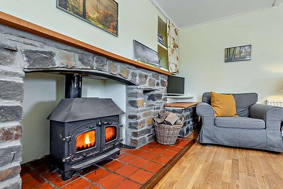 The Barn At Nant Llwyd