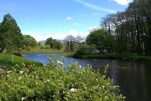 Cariad Cottage Cwmdu