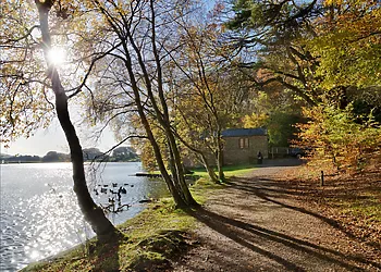 Enjoy a walk around Talkin Tarn Country Park