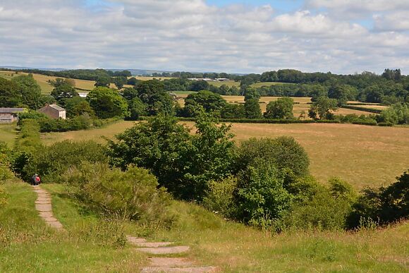 Hadrians Wall Escape