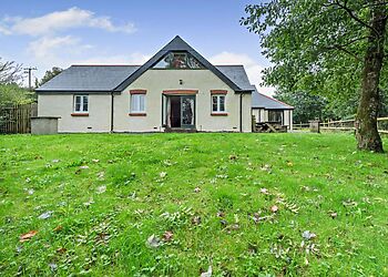 Copses At Narberth Bridge