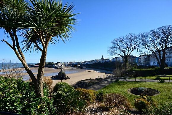 Copses At Narberth Bridge