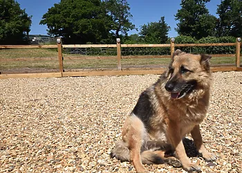 A holiday for the whole family - pooch included!