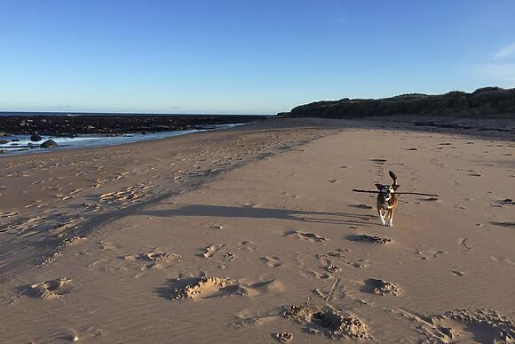 The Bothy Longhoughton