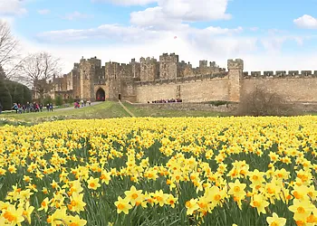 Alnwick Castle is stunning 