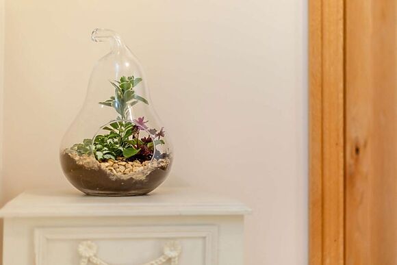 Richards Castle Old Stables