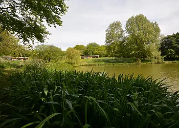 View towards the lodges from the far side of the lake