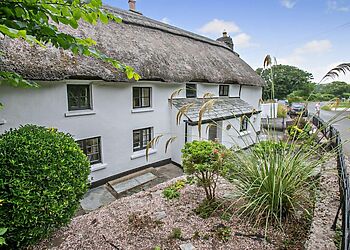 Orchard Thatched Cottage Stoke