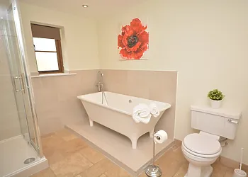 Stylish bathroom with separate shower