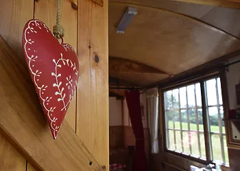 Attention to detail throughout