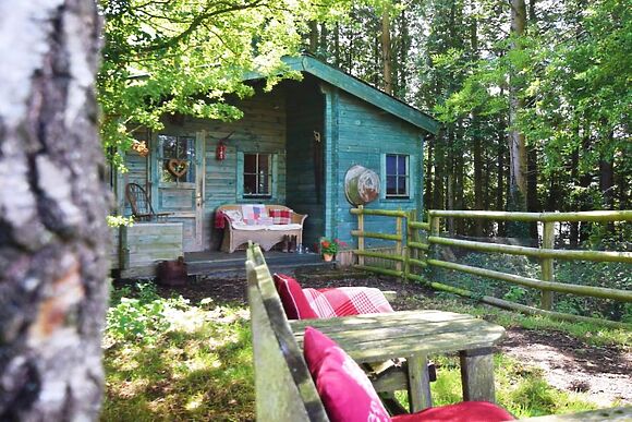 Frontier Cabin