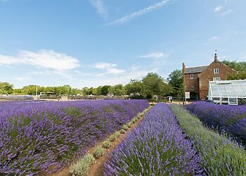 Honey Cottage Norfolk