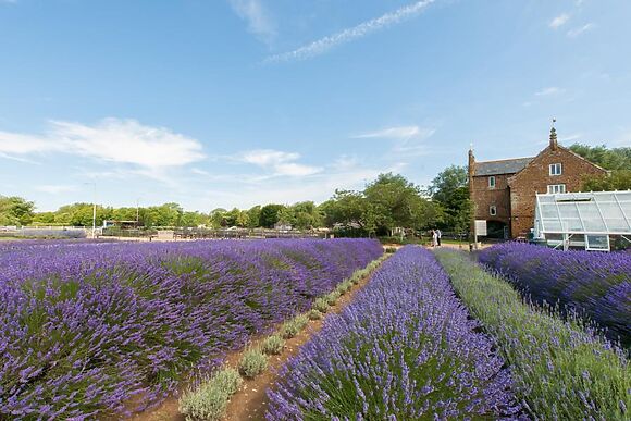 Honey Cottage Norfolk