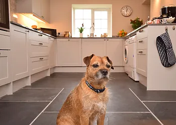 Your four-legged friend is also welcome at this beautiful retreat