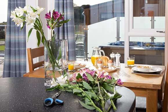 Rascarrel Bay Platinum 2