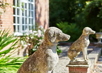 Well behaved dogs are more than welcome