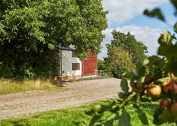 Traditional cottage set within established apple orchards