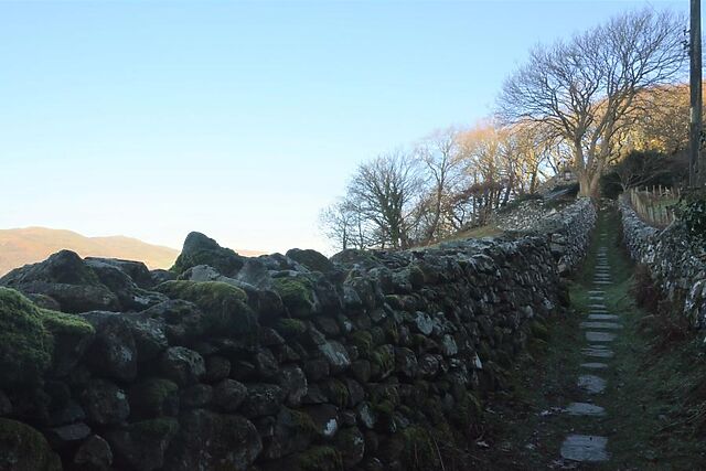Ty Coch Arthog