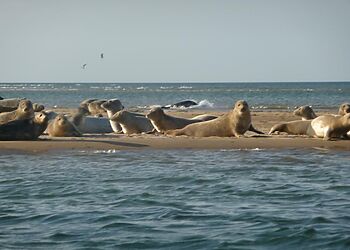 Corner Cottage Blakeney