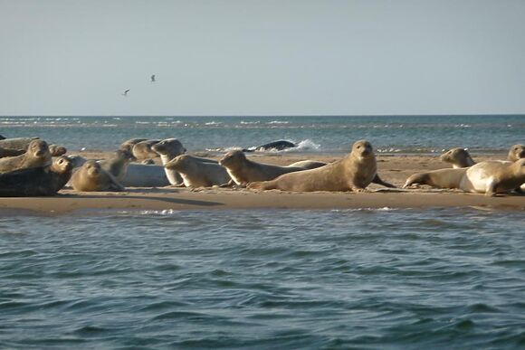 Corner Cottage Blakeney