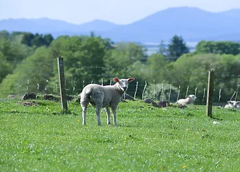Enjoy the Scottish countryside on your doorstep 