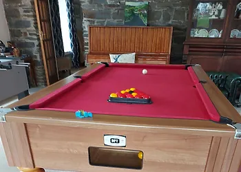 Games room with a pool table