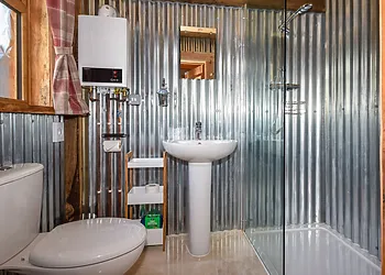 Shower room with shower and WC